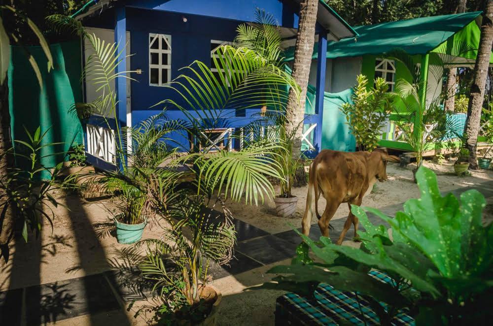 Secret Beach Bungalows, Palolem Esterno foto